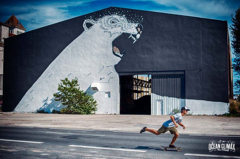 Street art, Darwin éco-système